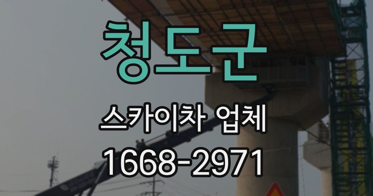 청도군 스카이차 업체