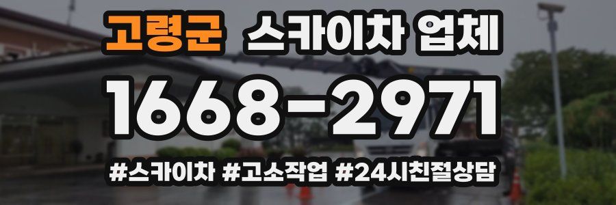 고령군 스카이차 업체