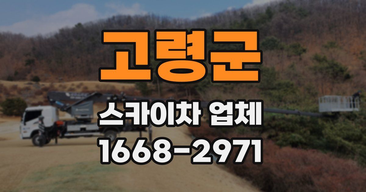 고령군 스카이차 업체