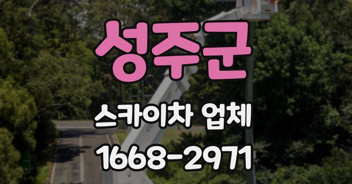 성주군 스카이차 업체
