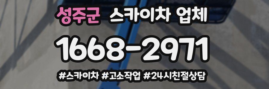 성주군 스카이차 업체