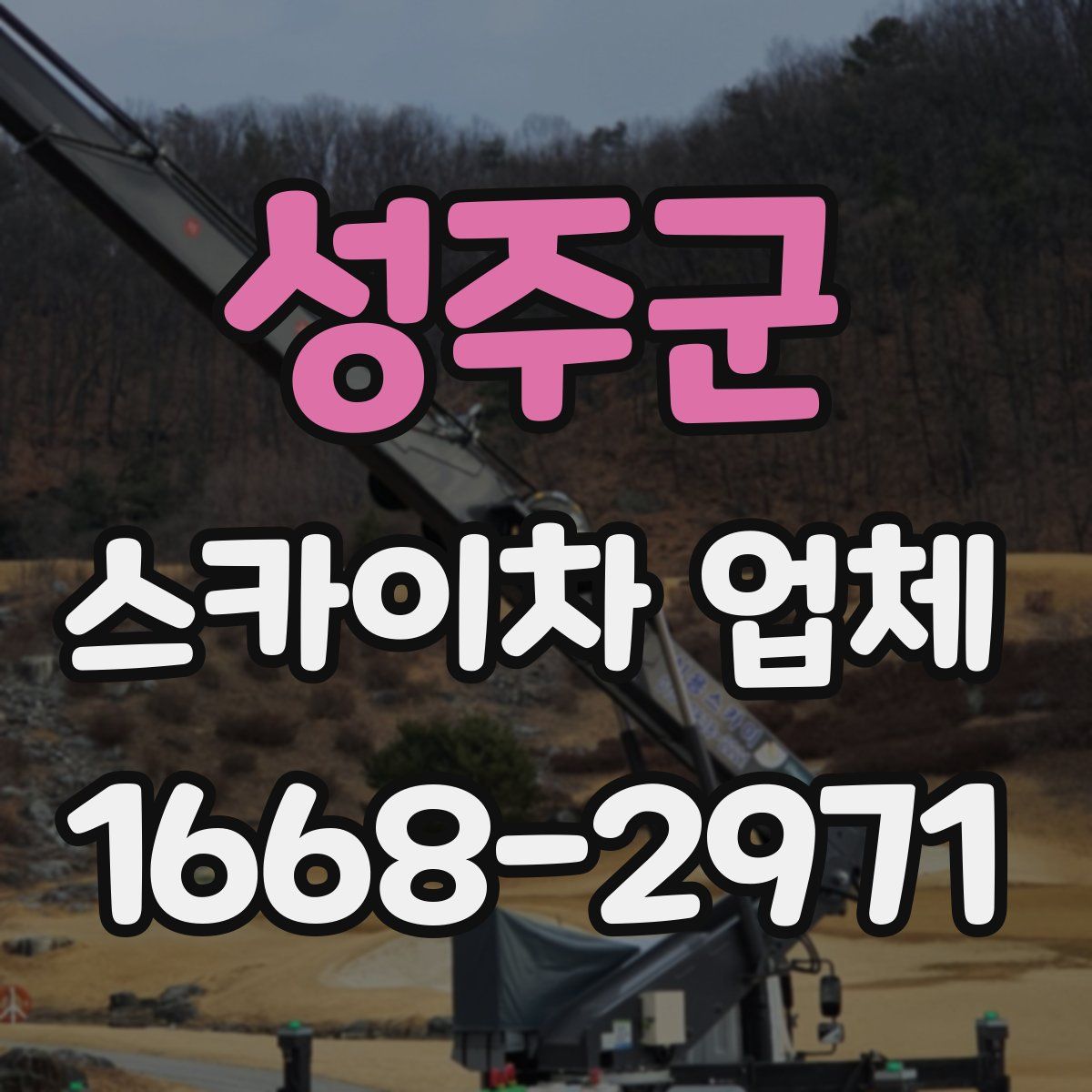 성주군 스카이차 업체