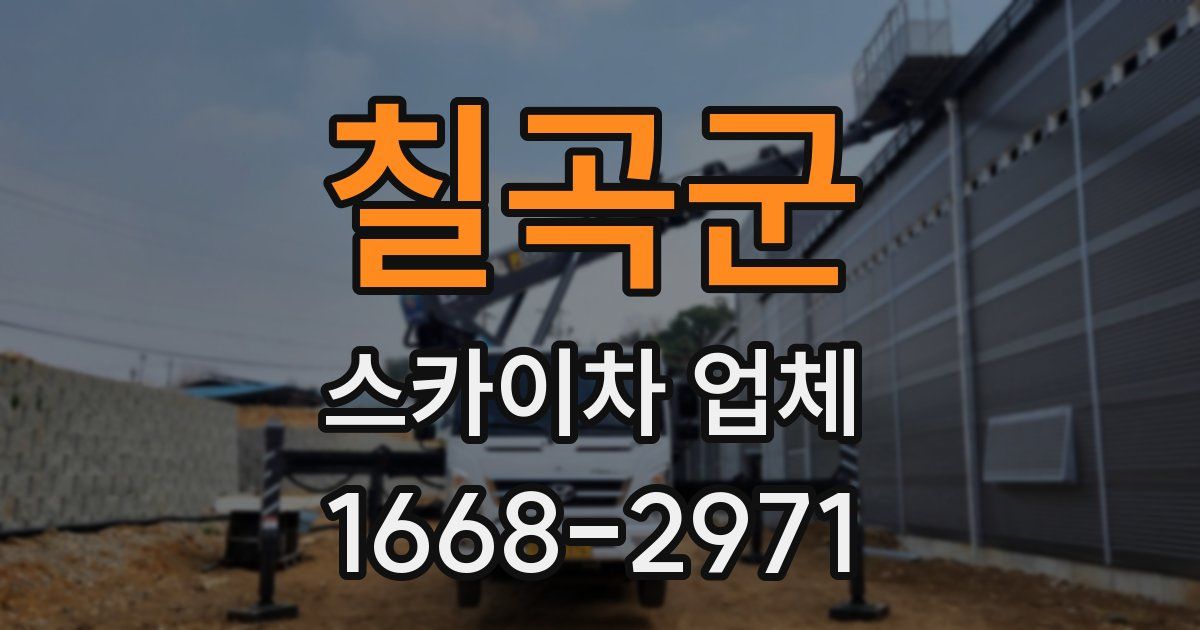 칠곡군 스카이차 업체