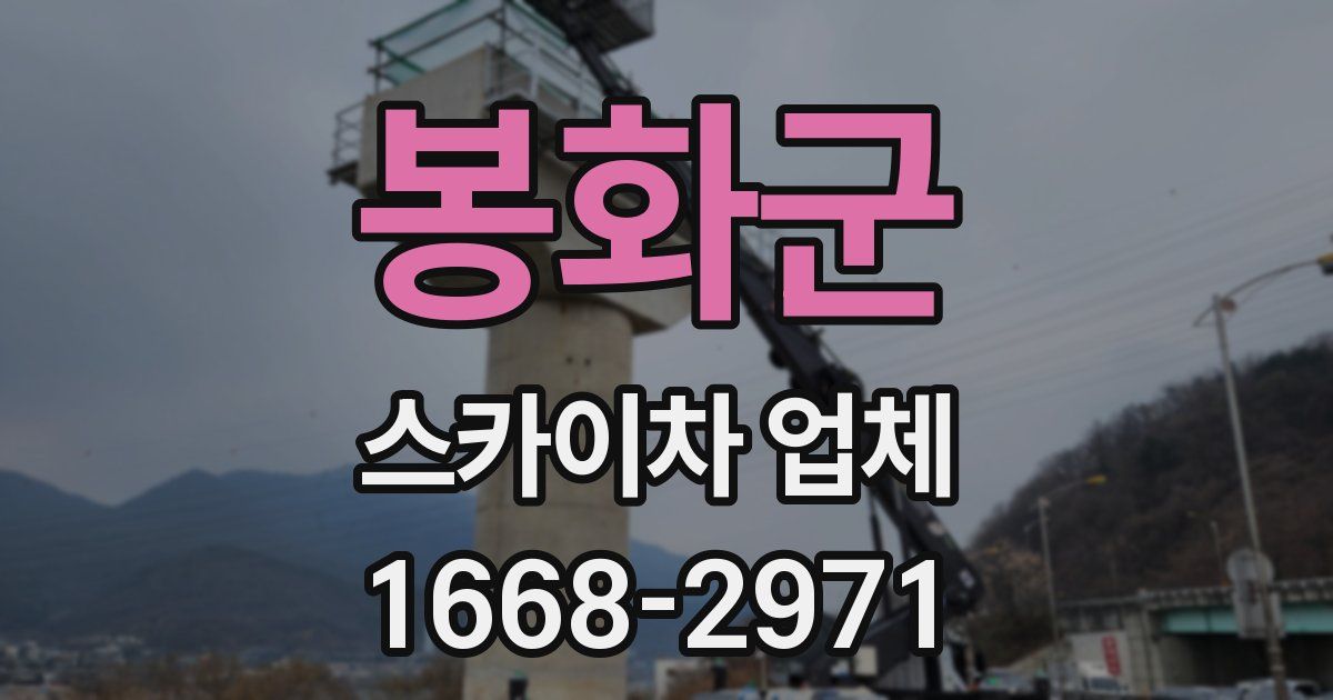 봉화군 스카이차 업체