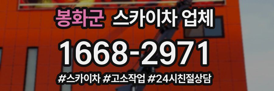 봉화군 스카이차 업체