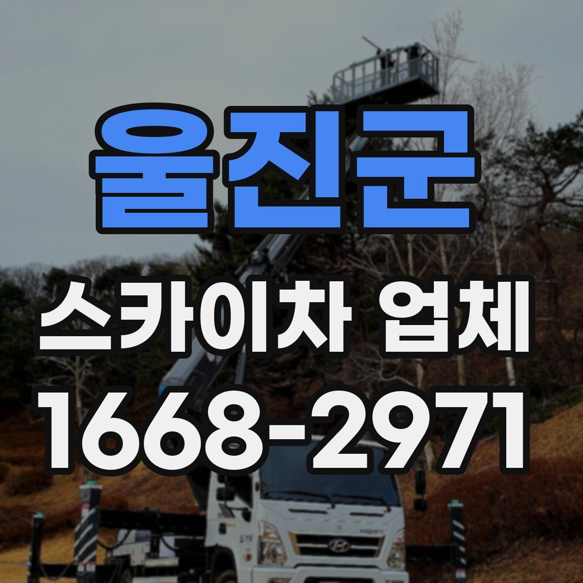울진군 스카이차 업체