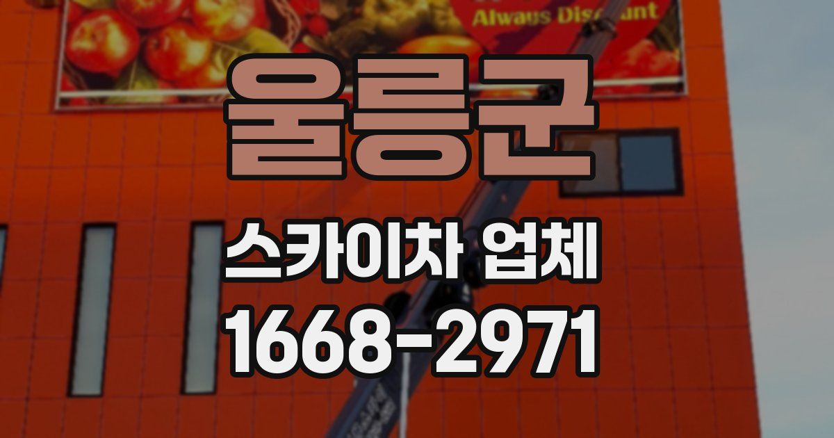 울릉군 스카이차 업체