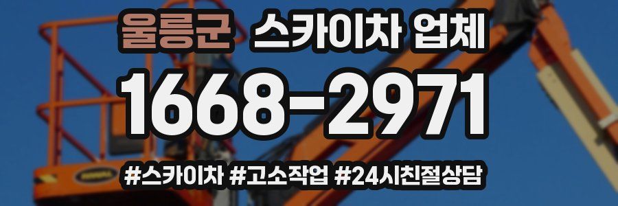 울릉군 스카이차 업체