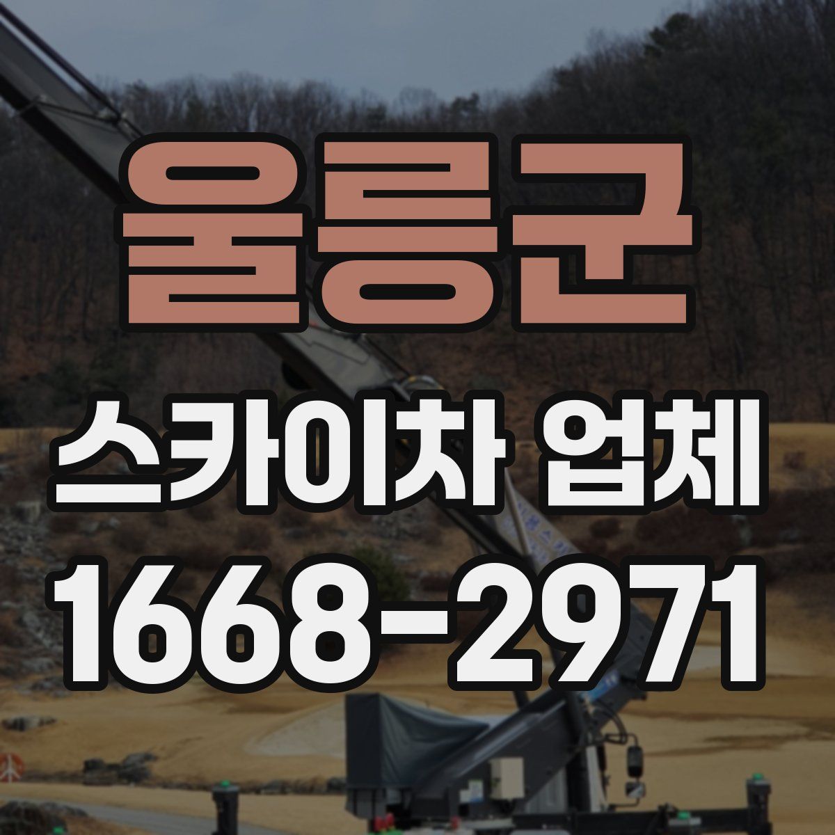 울릉군 스카이차 업체