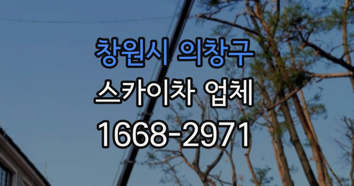 창원시 의창구 스카이차 업체