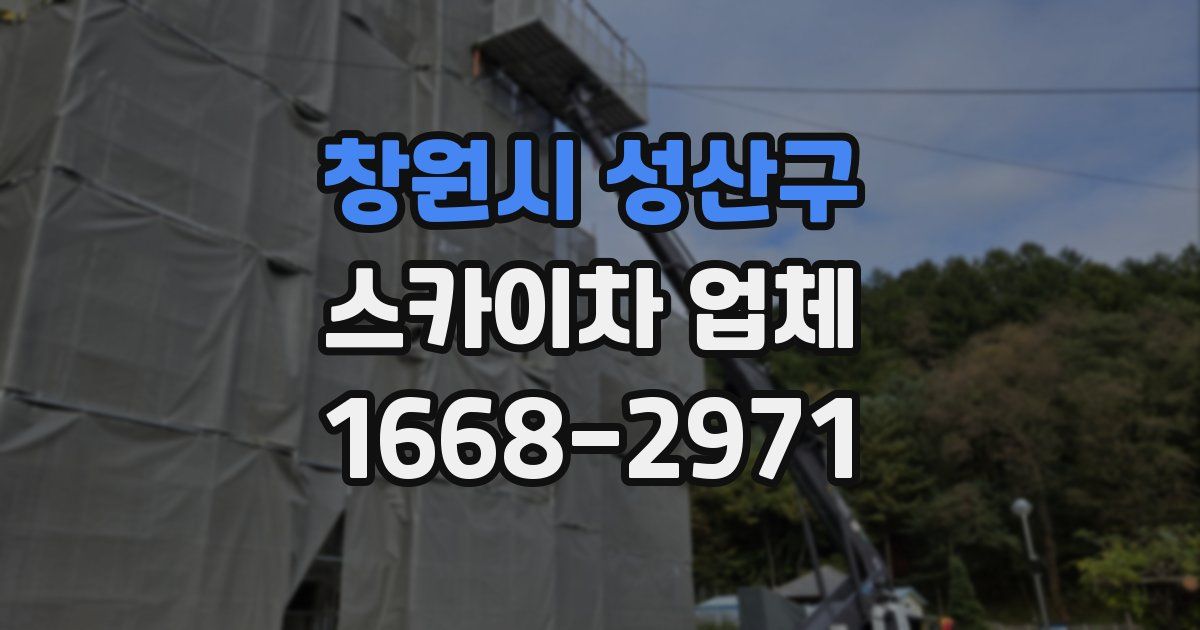 창원시 성산구 스카이차 업체