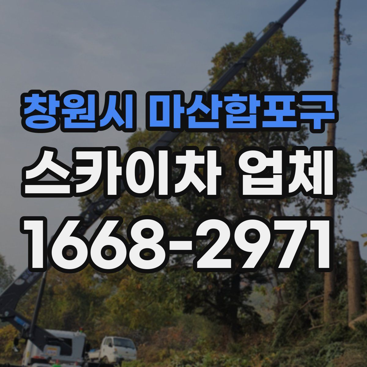 창원시 마산합포구 스카이차 업체