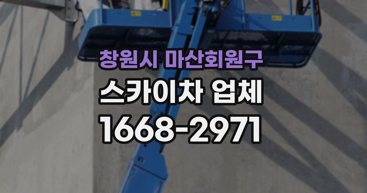 창원시 마산회원구 스카이차 업체