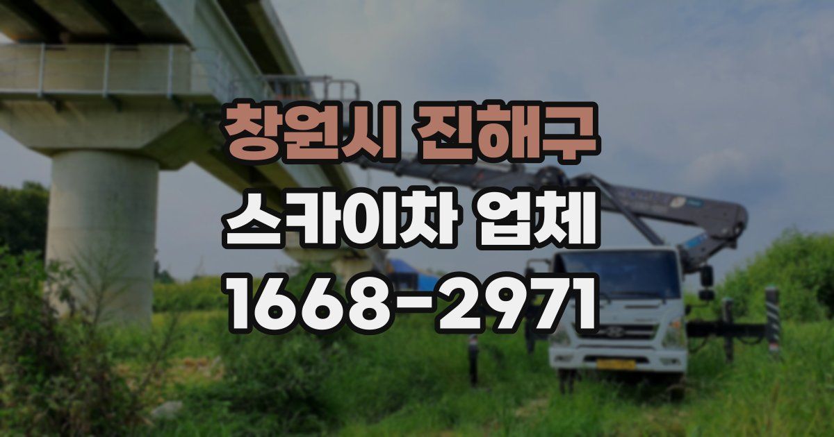 창원시 진해구 스카이차 업체