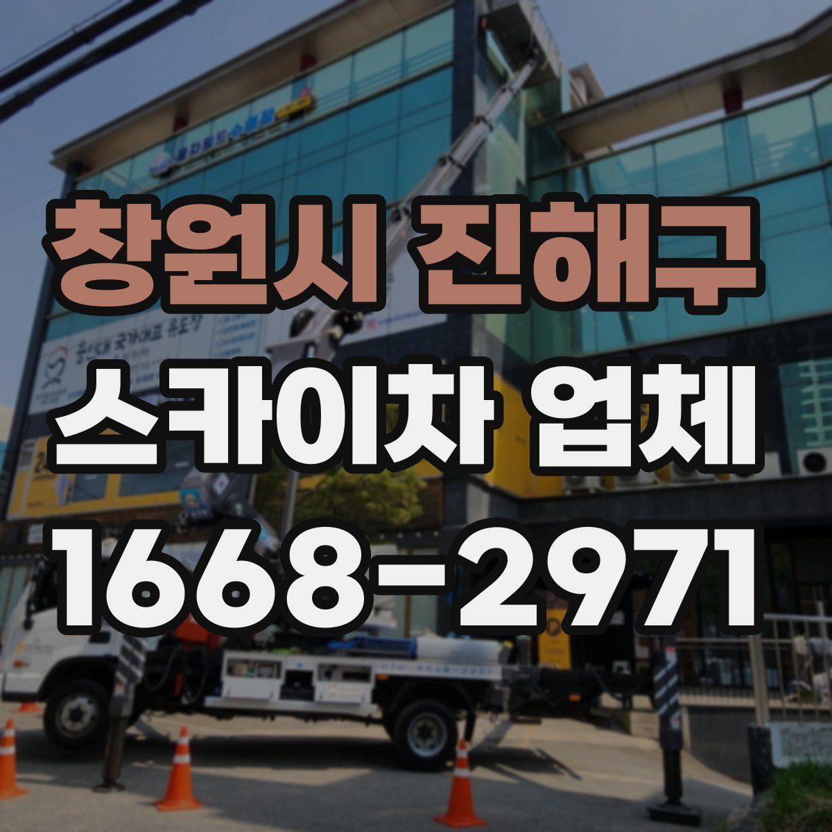 창원시 진해구 스카이차 업체