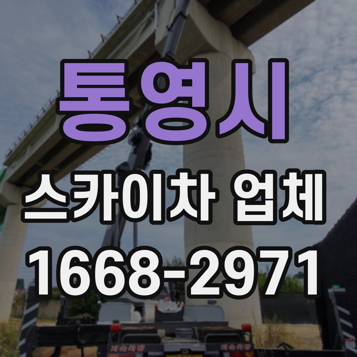 통영시 스카이차 업체