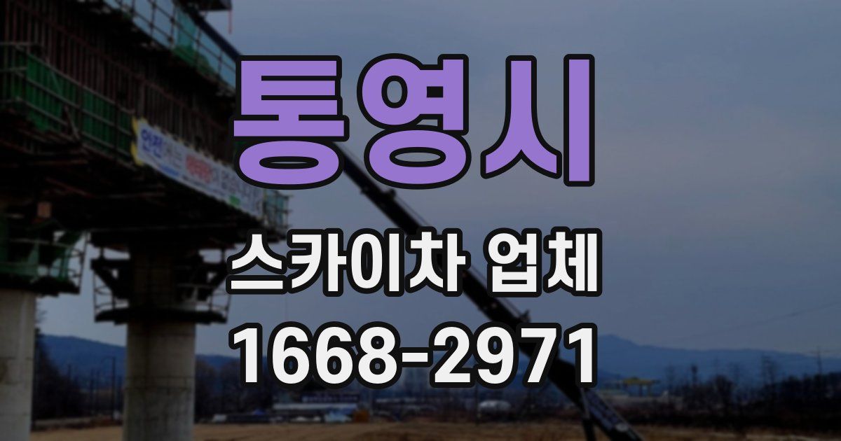 통영시 스카이차 업체