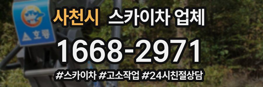 사천시 스카이차 업체