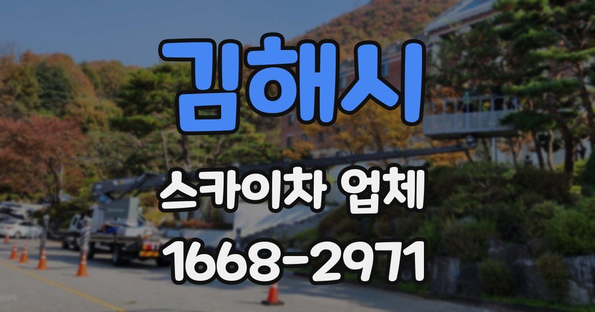 김해시 스카이차 업체