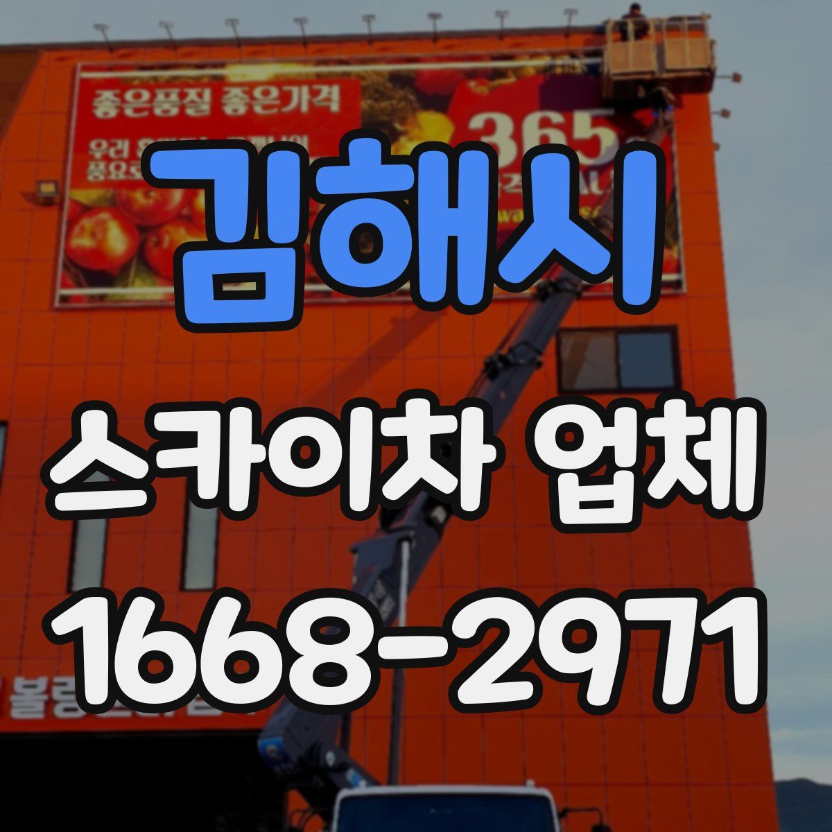 김해시 스카이차 업체