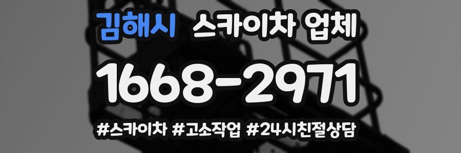 김해시 스카이차 업체