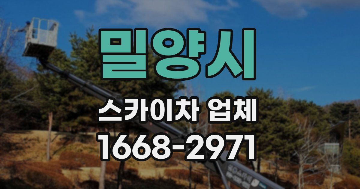 밀양시 스카이차 업체