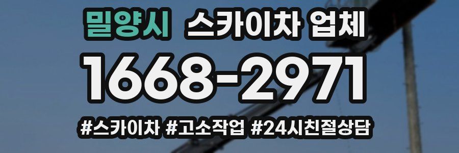 밀양시 스카이차 업체