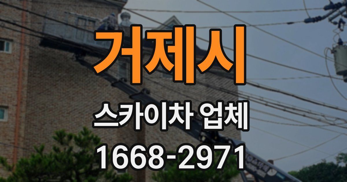 거제시 스카이차 업체