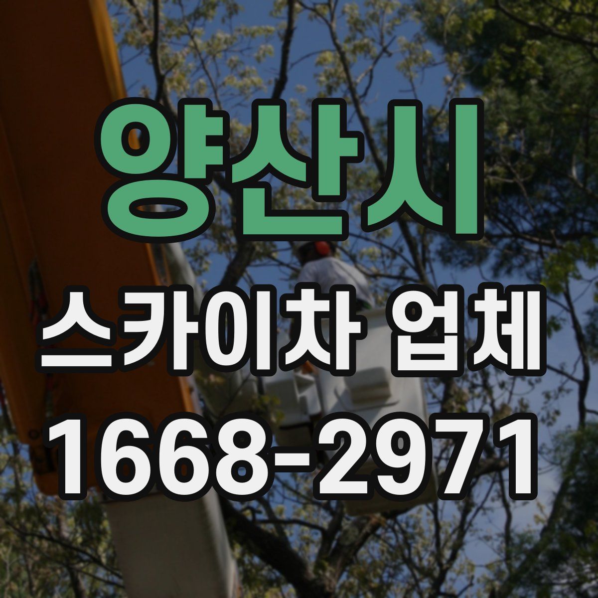 양산시 스카이차 업체