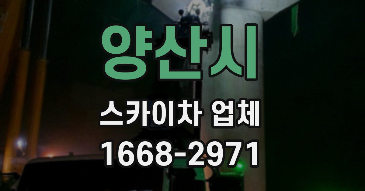 양산시 스카이차 업체