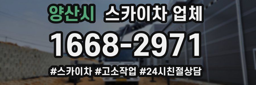 양산시 스카이차 업체