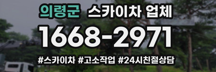의령군 스카이차 업체