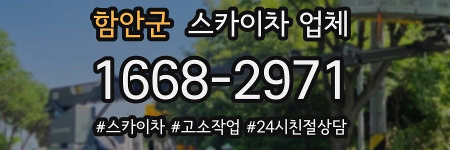 함안군 스카이차 업체