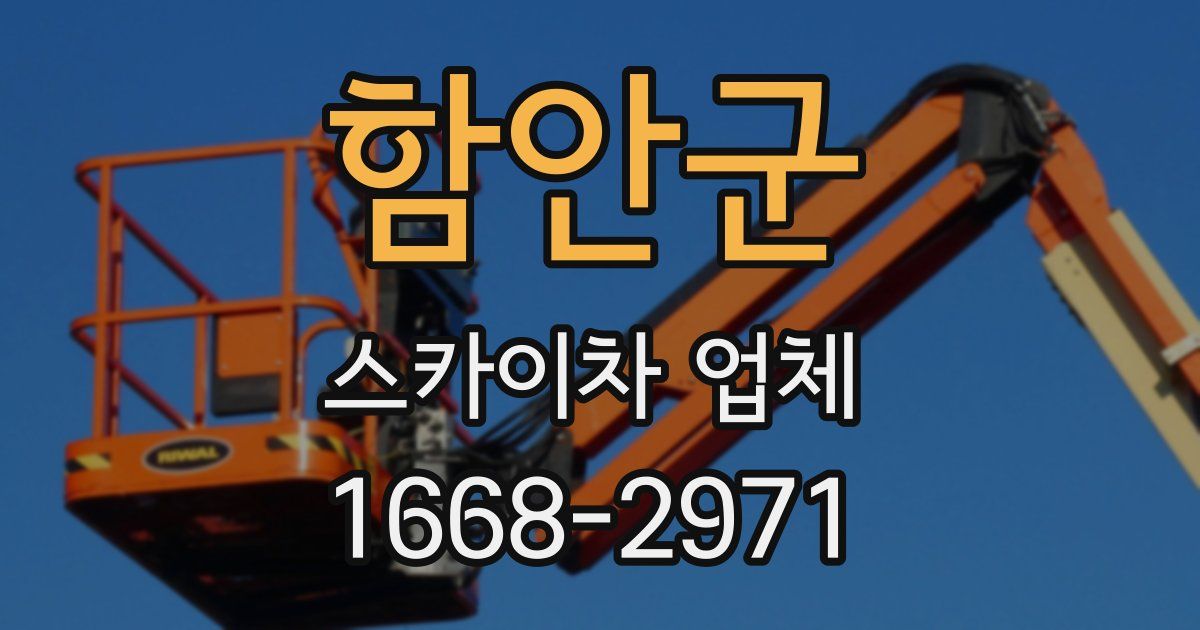 함안군 스카이차 업체
