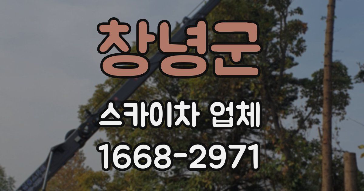 창녕군 스카이차 업체