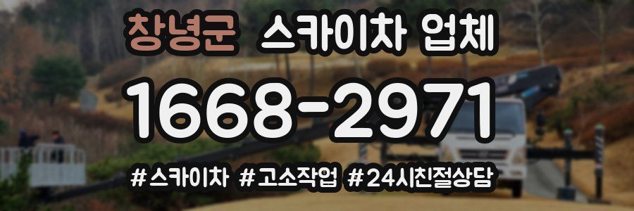 창녕군 스카이차 업체