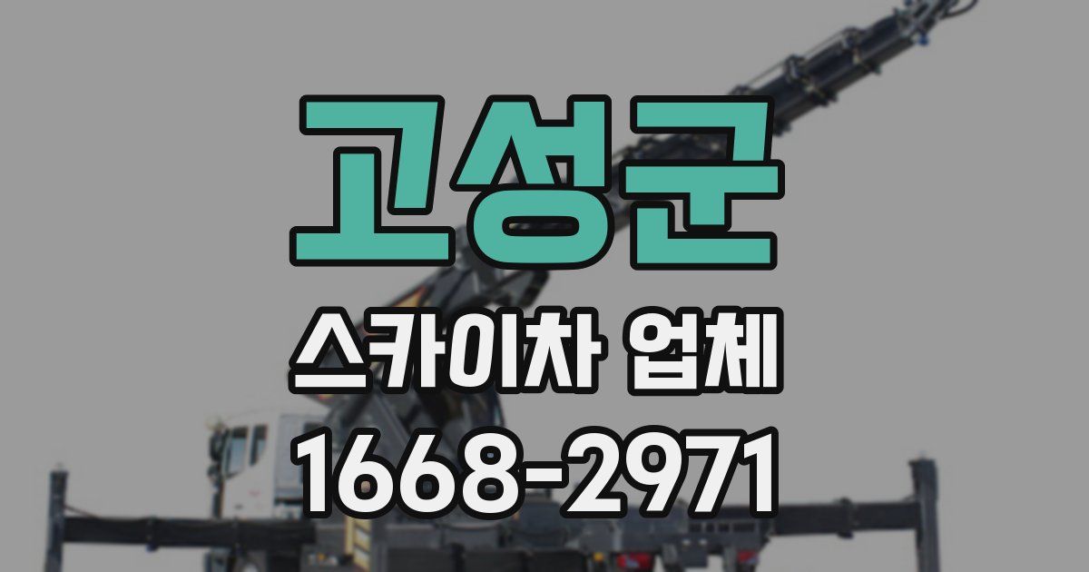 고성군 스카이차 업체