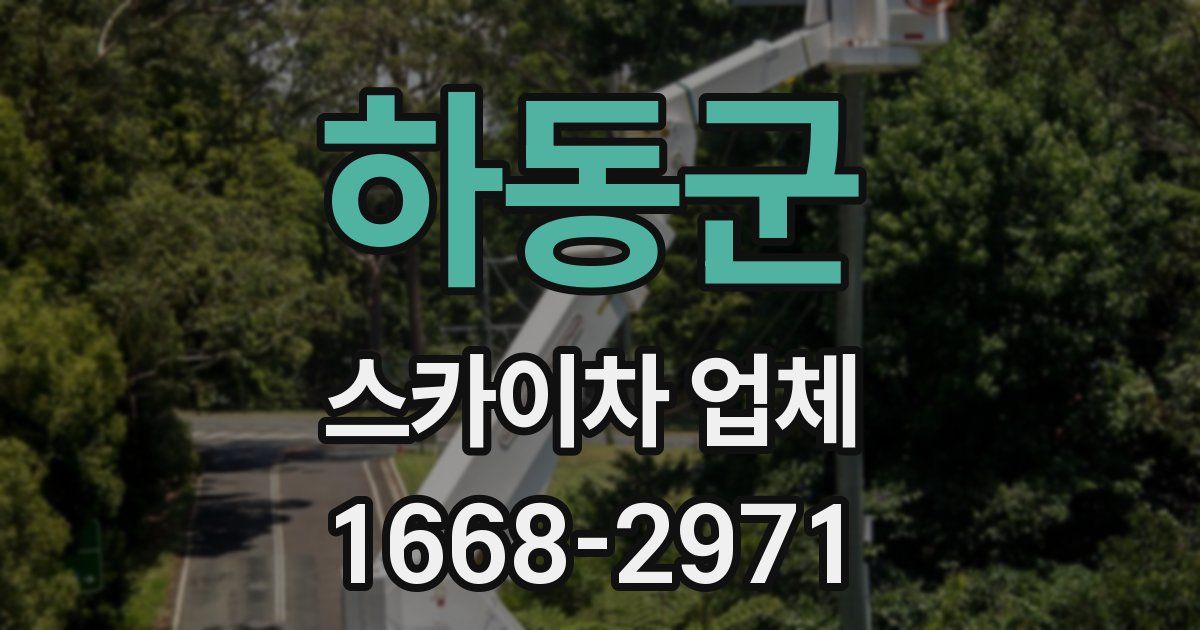 하동군 스카이차 업체