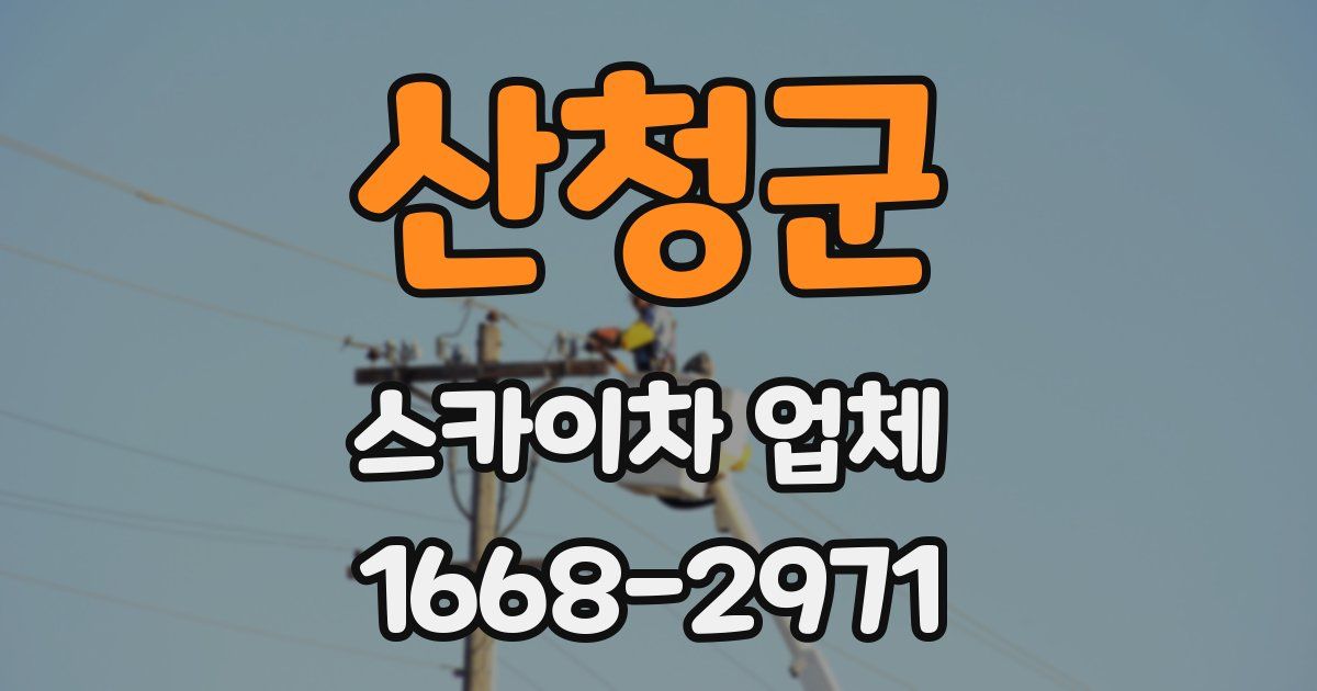 산청군 스카이차 업체