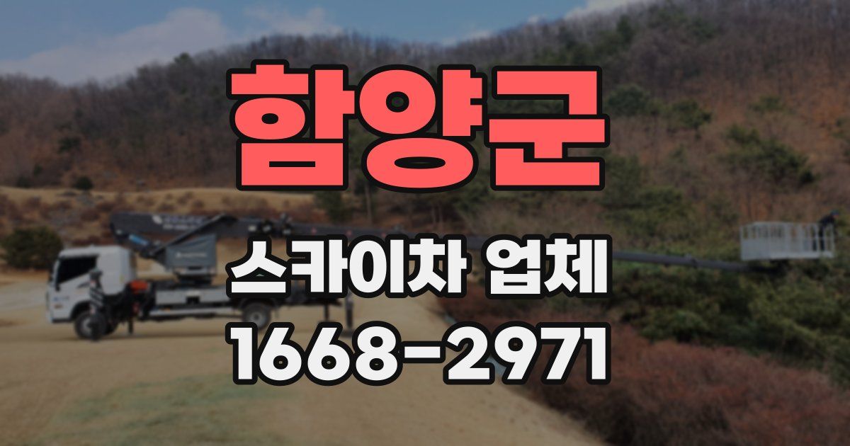 함양군 스카이차 업체