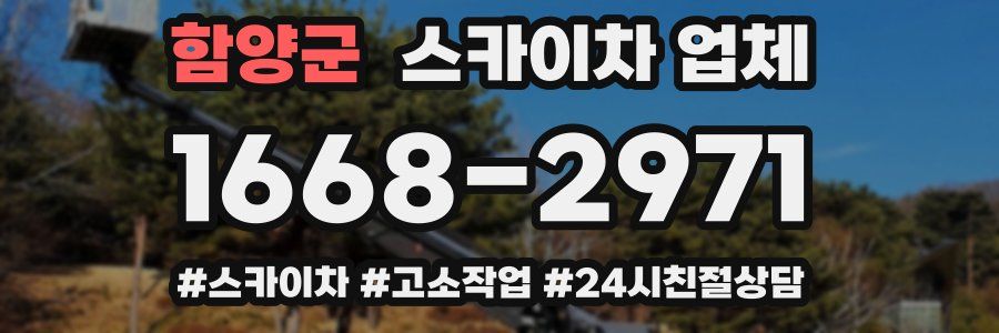 함양군 스카이차 업체