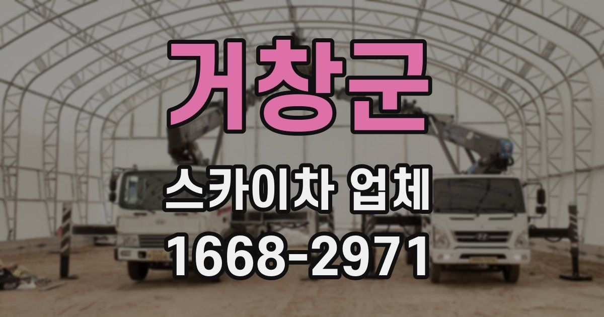 거창군 스카이차 업체