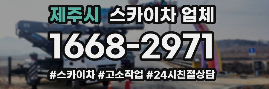 제주시 스카이차 업체