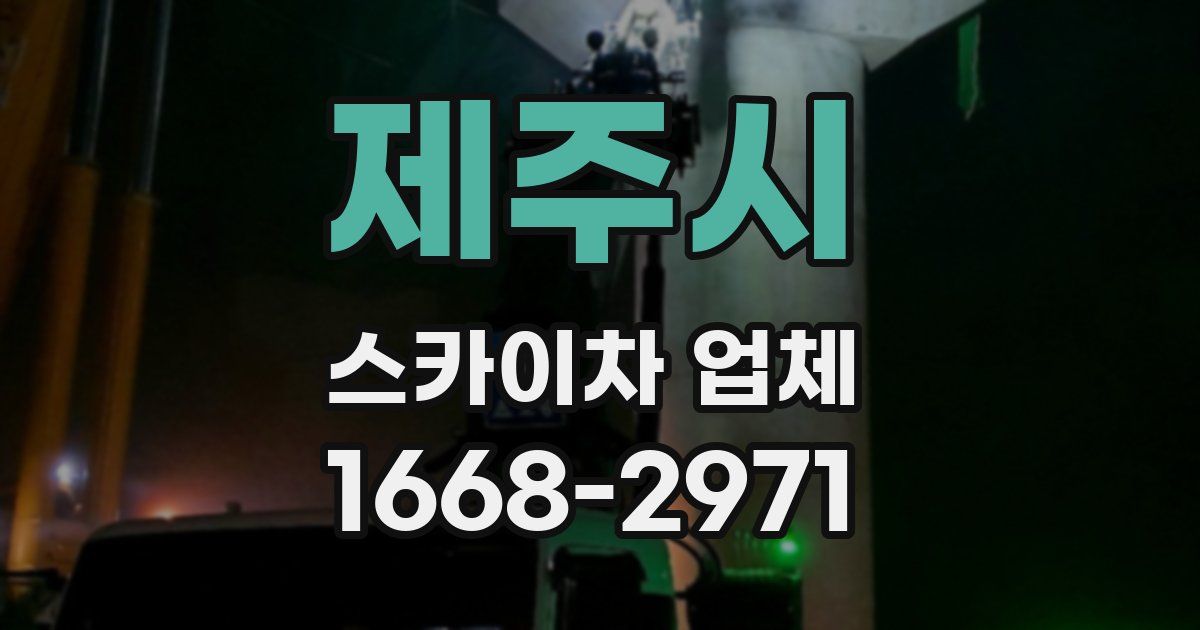 제주시 스카이차 업체