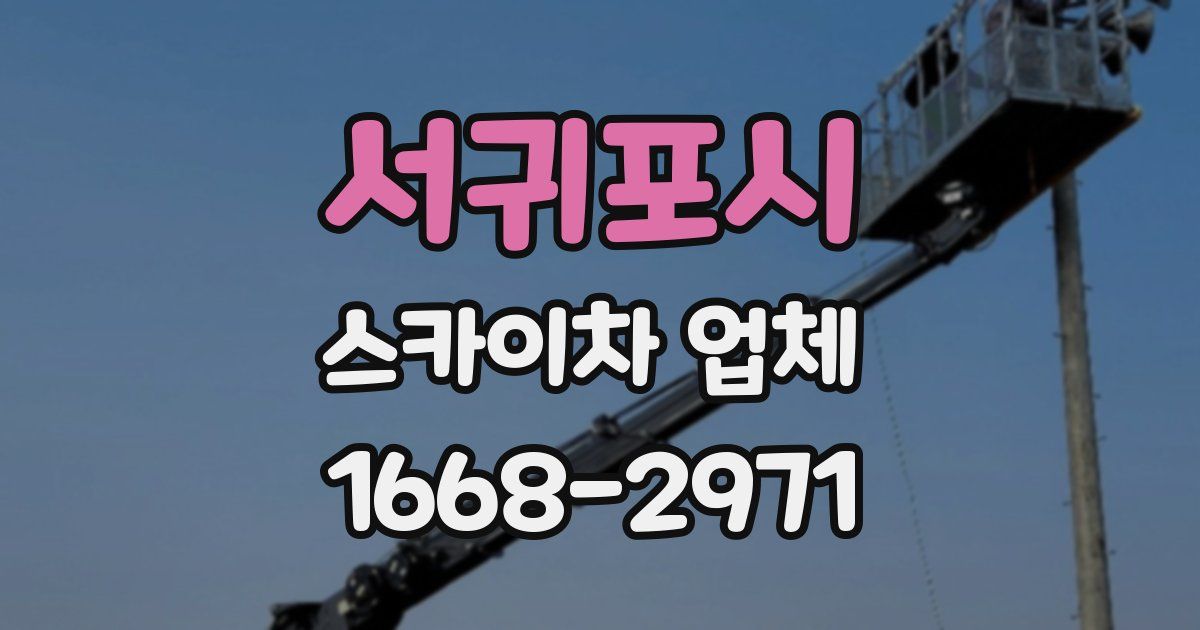 서귀포시 스카이차 업체