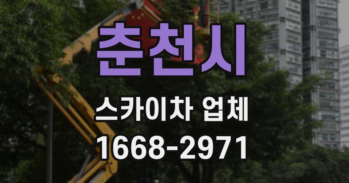 춘천시 스카이차 업체