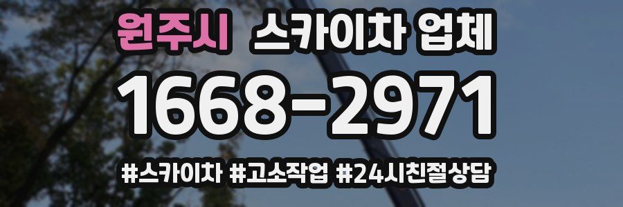 원주시 스카이차 업체