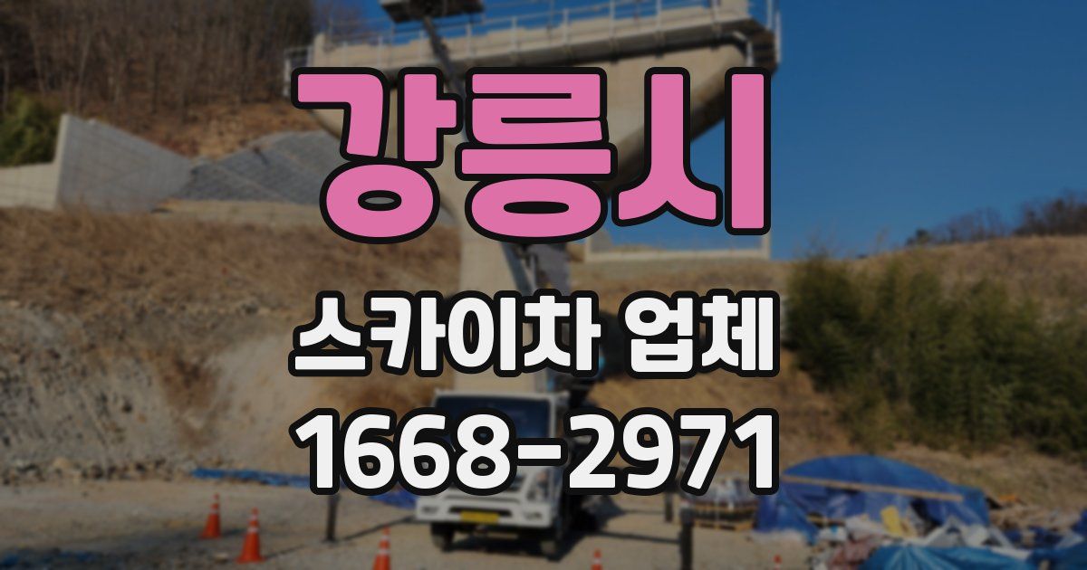 강릉시 스카이차 업체