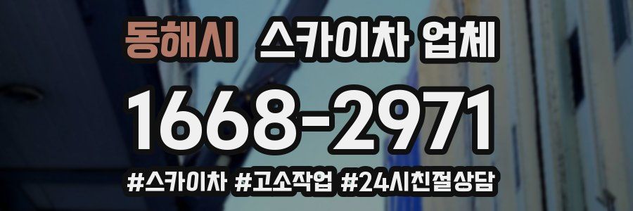 동해시 스카이차 업체