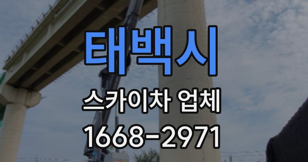 태백시 스카이차 업체